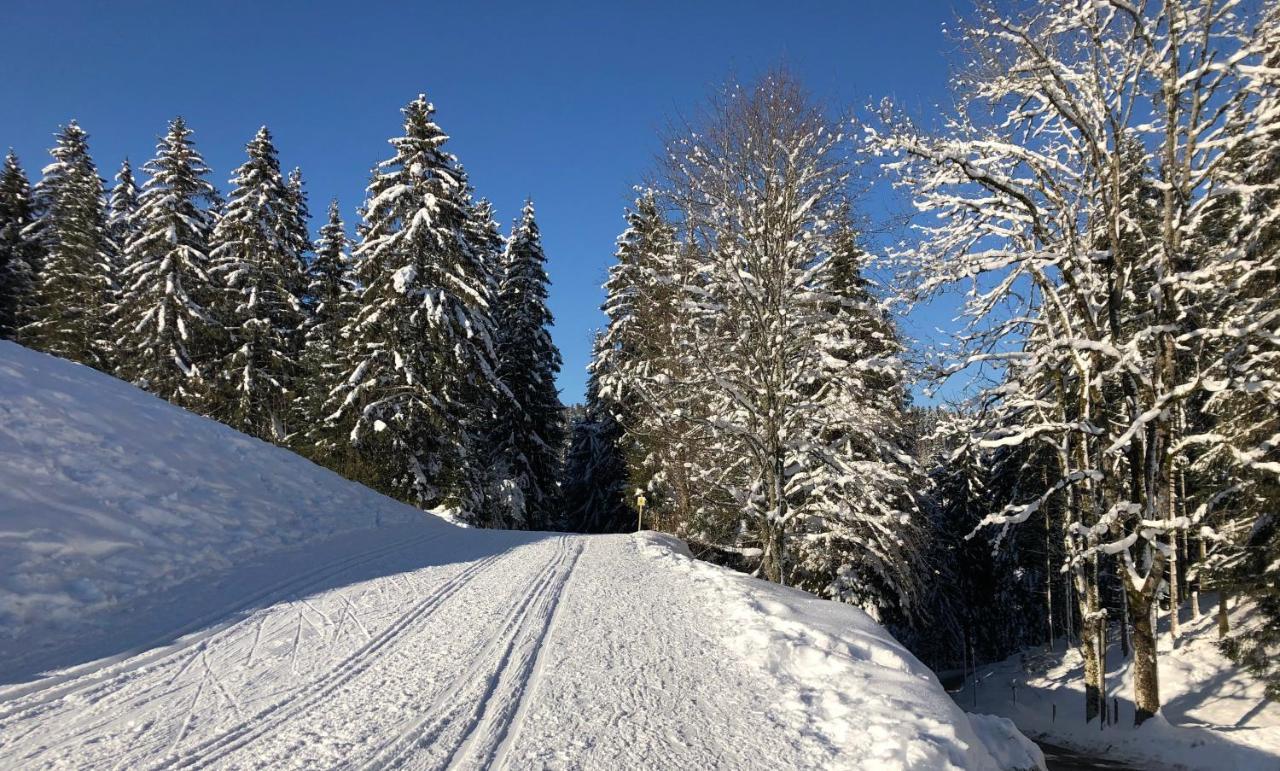 Le Batelier Du Lac Gérardmer Dış mekan fotoğraf